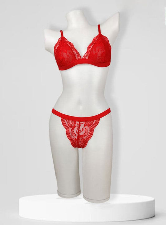 Premium Net Bikini Set – Sheer, Stylish