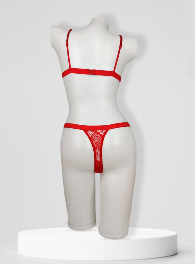 Premium Net Bikini Set – Sheer, Stylish