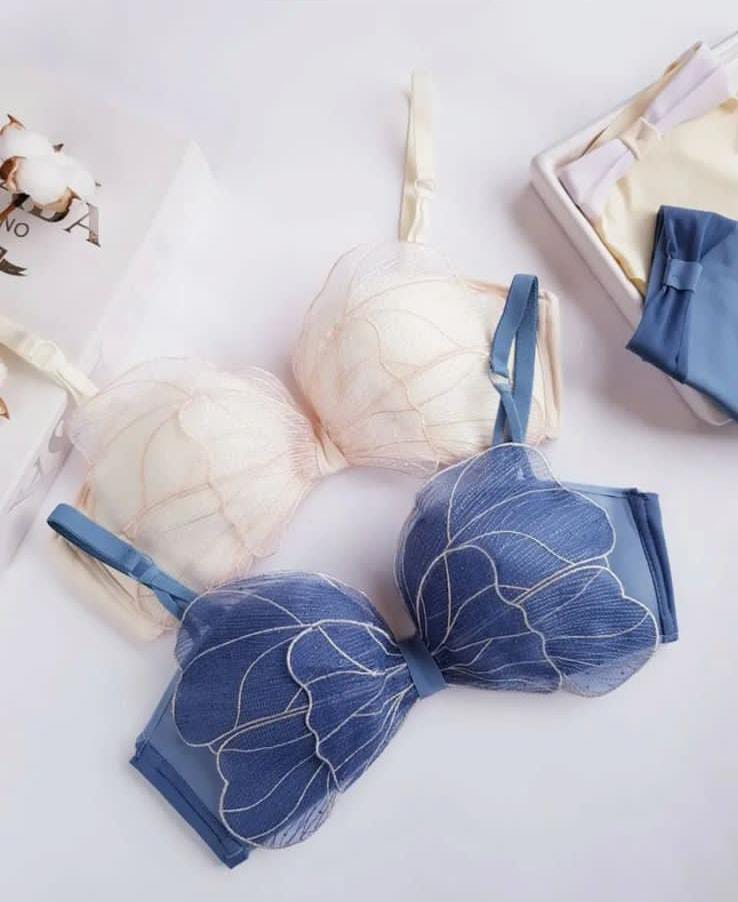 Elegance Sweet Butterfly Style Bra & Panty Set – Padded
