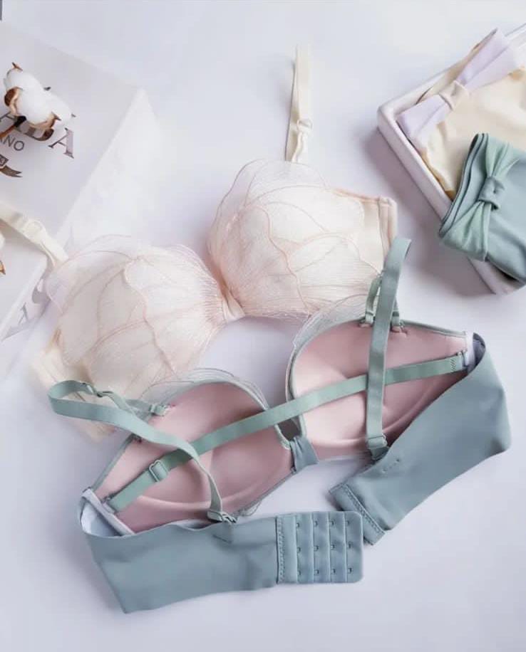 Elegance Sweet Butterfly Style Bra & Panty Set – Padded