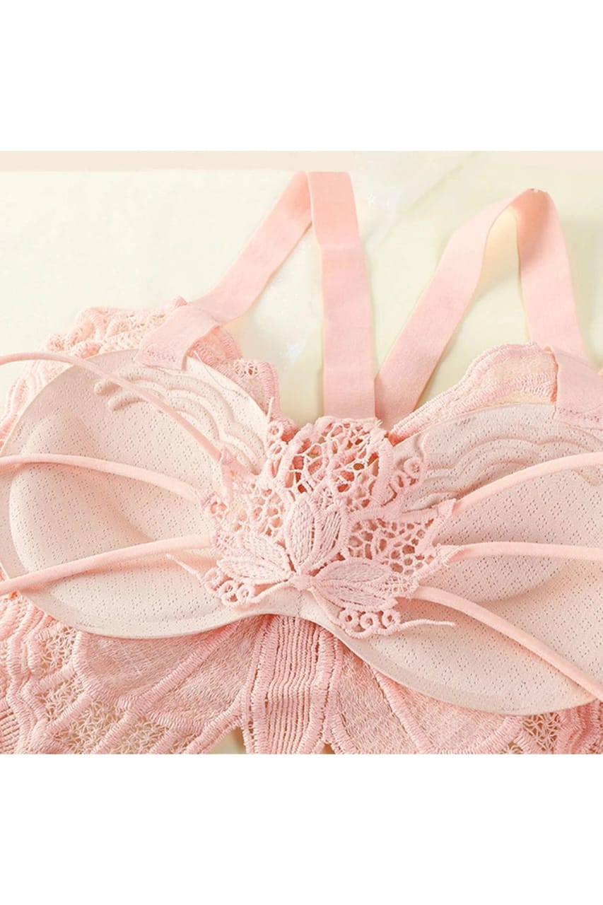 Fancy Butterfly Padded Bra – Free Size | Art: 1126